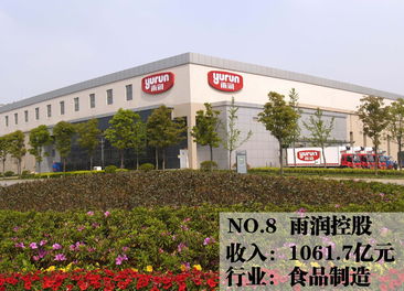 2013中国民企500强 苏宁折桂，西安文欣评级背后藏着什么秘密？